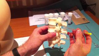 Lumbar Puncture Series  4 Lumbar Spine Anatomy and Needle Trajectory [upl. by Solrak]