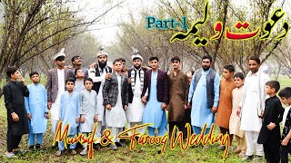 Wedding  Munsif amp Farooq Wedding Ceremony Drone Recording [upl. by Rip]