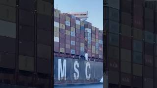 MSC Eloase containership🌊🚢⚓msc mafia containership short subscribe views youtube cargoship [upl. by Asehr]