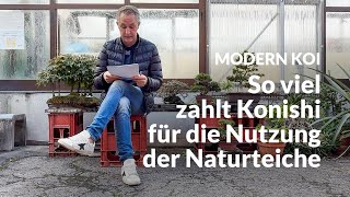 Wem gehören die Naturteiche die Konishi nutzt  Modern Koi Blog 7014 [upl. by Yellehs]