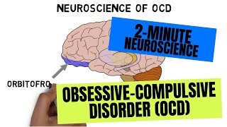 2Minute Neuroscience ObsessiveCompulsive Disorder OCD [upl. by Quinta]