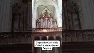 ÓRGANO METZLER EN LA CATEDRAL DE AMBERES Bélgica [upl. by Mehsah]