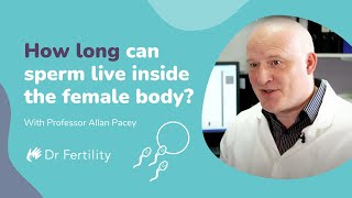 How Long Can Sperm Live Inside The Female Body  spermbanter  Dr Fertility [upl. by Monjan684]