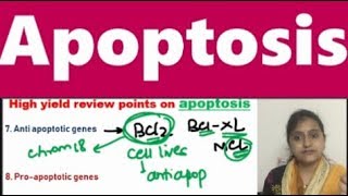 Apoptosis quickie covering frequently asked MCQs [upl. by Nehgaem]