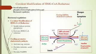 Cholesterol metabolism and hypercholesterolemia [upl. by Ibib91]