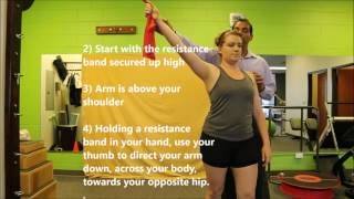 Throwers 10 Exercise Program D2 Flexion Exercise [upl. by Nailij]