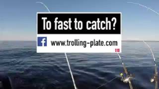 Wise Trolling plate Trolling Masters Bornholm 2017 TMB2017 [upl. by Harshman]