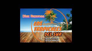 10 Razones  Los Tropicales del sur [upl. by Pearl]