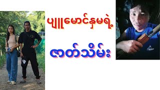 ပျူမောင်နှမရဲ့ ဇာတ်သိမ်း [upl. by Ruamaj797]