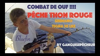 Pêche 🎣Thon Rouge 🐟 au Large de Port Leucate sur Bluefin 🚤 [upl. by Anos55]