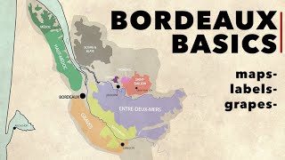 Wine 101  BORDEAUX BASICS in 4 Minutes Maps Grapes and Labels [upl. by Lambertson]