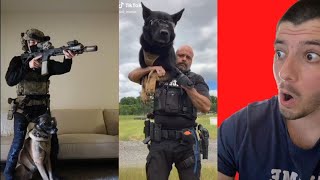 Reacting to the Best k9 Dogs of TikTok [upl. by Kenon]