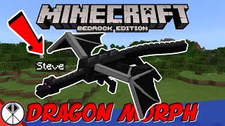 MCPE ENDER DRAGON MORPH Addon Be The Ender Dragon In Minecraft [upl. by Accissej757]