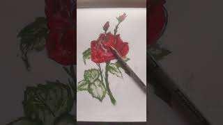 coloured Rose art music little artist Abhinav mishra [upl. by Iretak]