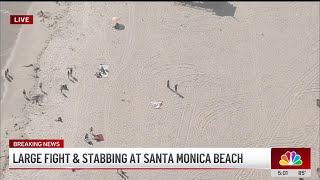 Large brawl ends with stabbing at Santa Monica Beach [upl. by Leisha]