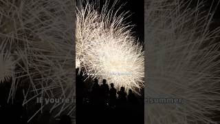 Japanese fireworks are truly BEAUTIFUL✨ LifeinJapan [upl. by Morrell195]