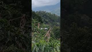 PANORÁMICA DEL CENTRO POBLADO DE LA CABAÑA EN SALADOBLANCO HUILA [upl. by Lynda]