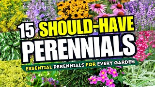 Top 15 Perennials Every Garden SHOULD HAVE 💫 Essential Plants Your Garden Cant Do Without 🌻 [upl. by Onej]