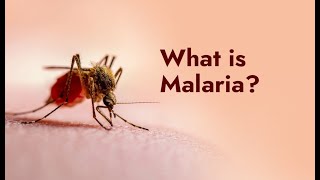 Malaria fever Treatment malaria malariatreatment fever malariaawareness malariaprevention [upl. by Beisel]