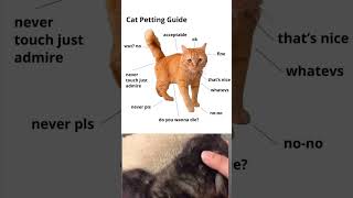 Cat Petting Guide  Demonstrationwholesomememes cat [upl. by Nylrebma]