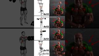 How to shoulder workout [upl. by Beltran]