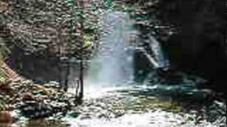 Jenkinson Lake Park Creek Hike to Waterfall [upl. by Aretha]