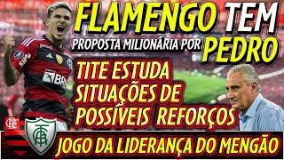 FLAMENGO TEM PROPOSTA MILIONÁRIA POR PEDRO  TITE ESTUDA SITUAÇÕES DE REFORÇOS NO MENGÃO E [upl. by Asilem]