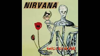 Nirvana Mollys Lips BBC John Peel Session 1990 [upl. by Folsom]