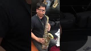 SML Couesnon Vintage Alto Saxophone Sound [upl. by Archle]