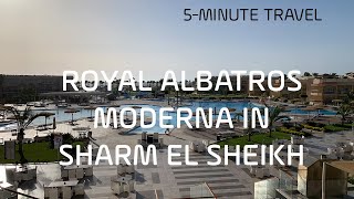 ROYAL ALBATROS MODERNA IN SHARM EL SHEIKH [upl. by Cathi]