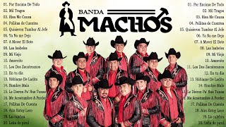 Banda Machos  Sus Mejore Exitos  Música Mexicanos Mix [upl. by Suhpoelc391]