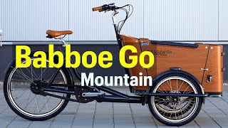 Babboe Go Mountain ELastenrad im KurzTest [upl. by Thury769]