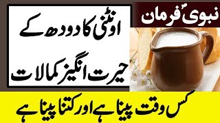 Oontni Ka Doodh Ke Fayde  Tib e Nabvi se ilaj  Camel Milk Benefits [upl. by Hgalehs]