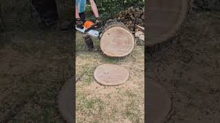 Stihl MS 400 CM 💪🏻🤙🏻🇩🇪stihl firewood satisfying asmr chainsawman shorts viral roadto10k [upl. by Hengel981]