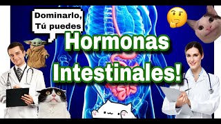 TODAS LAS HORMONAS INTESTINALES [upl. by Henni]