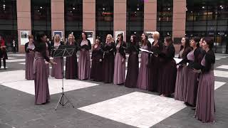 Divinum Wallachian Choir  Ach synku synku Evropský parlament [upl. by Losse]