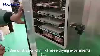 Milk freeze drying experiment [upl. by Nithsa]