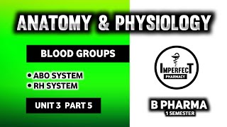 Blood Group System  ABO Blood Group System  Rh System  Human Anatomy And Physiology  B Pharma [upl. by Drofnil]