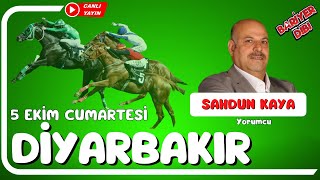 DİYARBAKIR  Canlı Yayın  Bariyer Dibi  5 Ekim 2024 Cumartesi atyarisi [upl. by Nylodam]