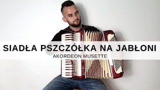 Siadła pszczółka na jabłoni  Akordeon MUSETTE [upl. by Dorcea]