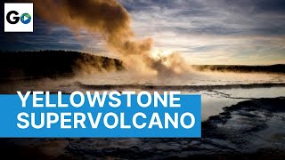 Yellowstone’s Wildest Brawls 👊 Paramount Network [upl. by Snave]