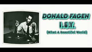 Donald Fagen  IGY Orig Full Instrumental HD Enhanced Sound 2023 [upl. by Swayne]