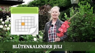 Blütenkalender Juli  Phlox Monarda Euodia Buddleja Spirea Dahlie [upl. by Dorej]