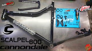 CANNONDALE SCALPEL 800 Servicio Cuadro Flex Pivot desarmado total Mantenimiento Marco Service Frame [upl. by Ztirf]