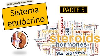 SISTEMA ENDÓCRINO  parte 5 anatomia veterinária [upl. by Magda]