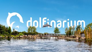 Dolfinarium ☀️🐬 [upl. by Isacco]