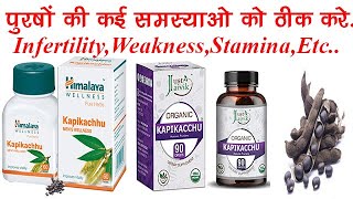 Kapikachhu Uses Benefits Dosage Side Effects  Infertility  Mucuna Pruriens  Himalaya✅ [upl. by Torrey]