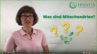 Was sind Mitochondrien Aufgabe und die Funktion  HEILVITA Naturheilpraxis [upl. by Annadroj]