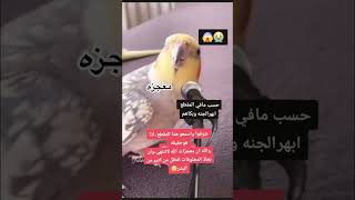 بغبان يقراء القران سبحان الله العظيم 😳 اكسبلور summer ترند دويتو تيكتوك [upl. by Enaffit]