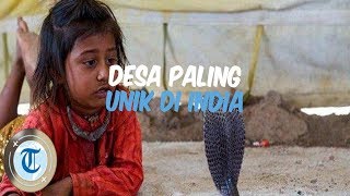 5 Desa Unik di India Ada yang Penduduknya Hidup Bersama Ular Kobra [upl. by Magill]